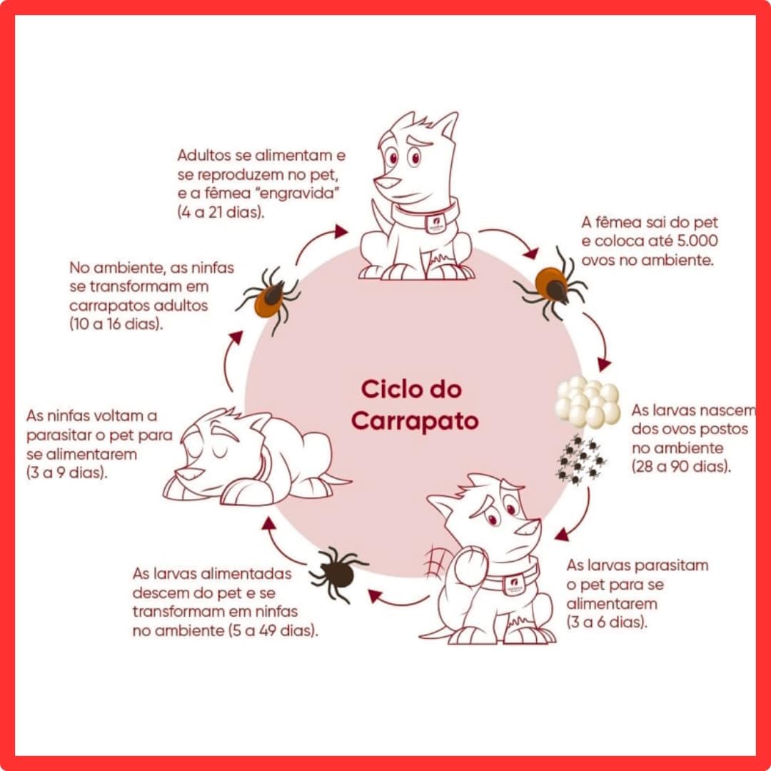 Vermitril Gatos - Anti Pulgas, Carrapatos, Vermes, Sarnas 12 Comprimidos mastigáveis (3)