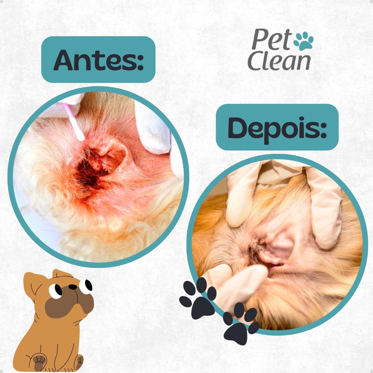 Limpador de orelhas Pet Clean - 100 ML