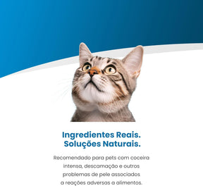 Vet Life Hypoallergenic Pork & Potato para Gatos Adultos de Todas as Raças 2Kg