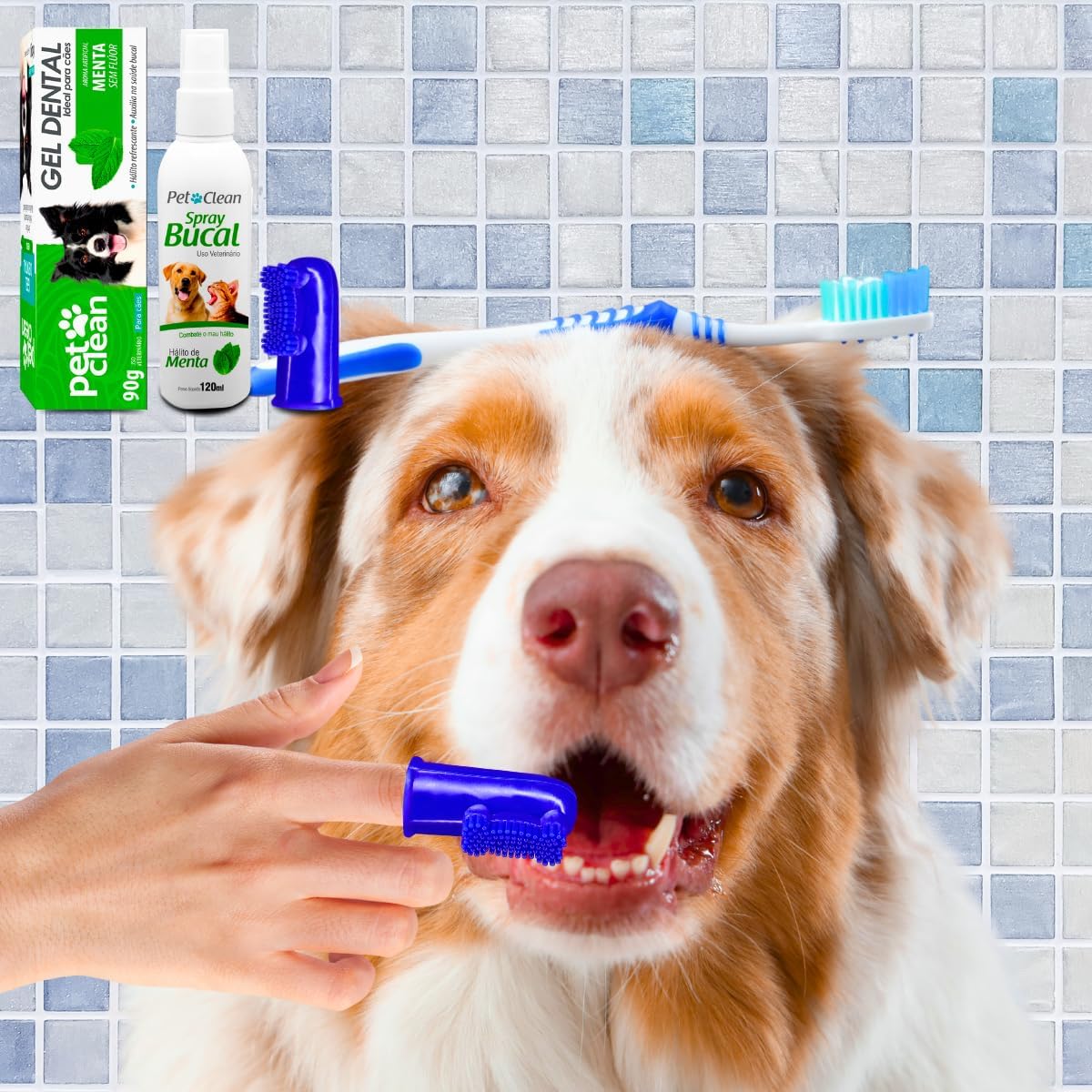 Pet Clean Kit Higiene Bucal para Cães e Gatos: Gel Dental 90g + Spray Bucal Menta 120ml + Escova Dedeira Combate Mau Hálito e Tártaro - Menta