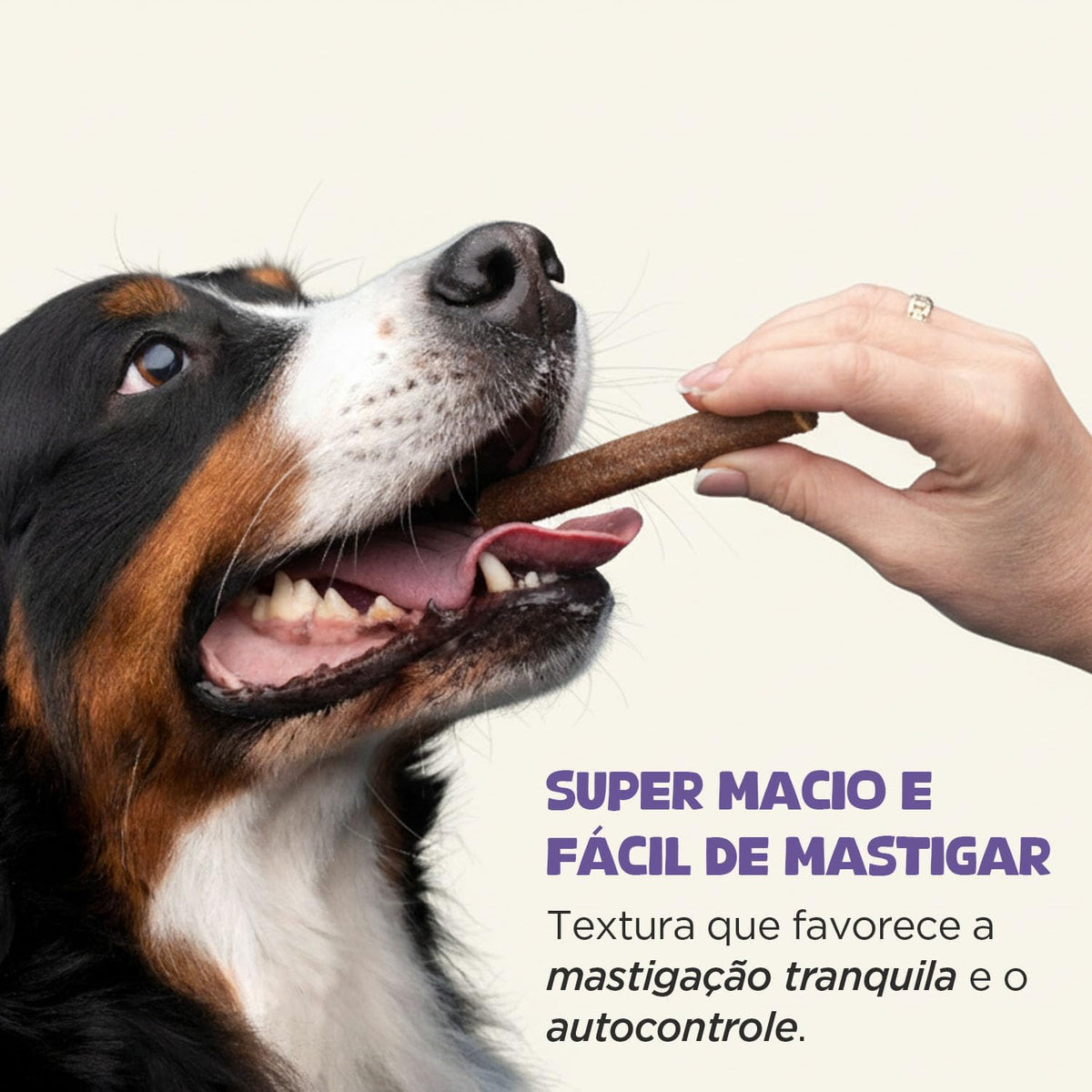 Petisco Calmante para Cães LITHO DOG Stick Palitos Macios • Antiestresse Natural • Maracujá Camomila Cúrcuma • Ansiedade Cachorro • 250g • Com Algas Lithothamnium