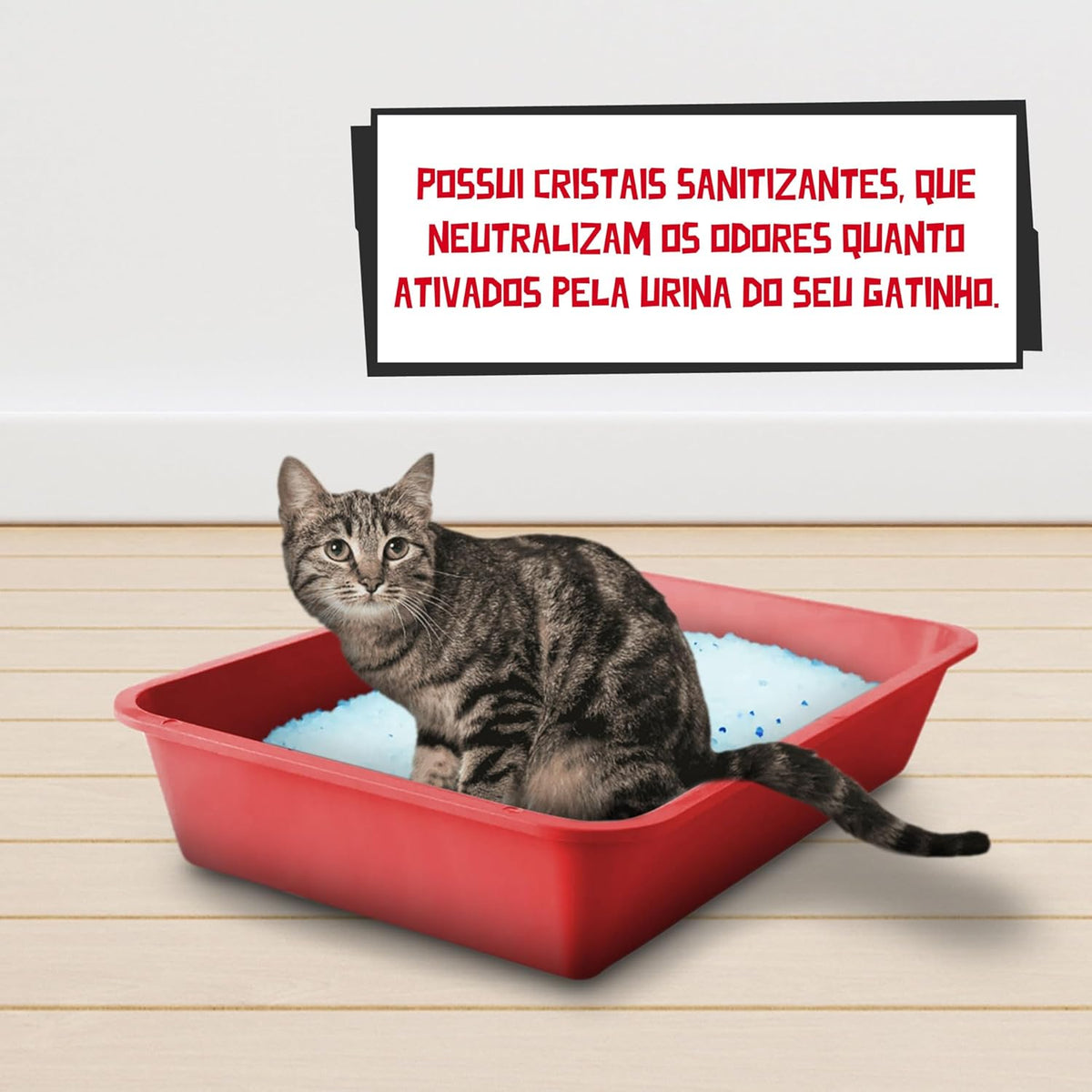 Germanhart Areia Sílica Higiênica para Gato, Antiodor e Neutralizante, Alta Durabilidade, 1.8kg - Lavanda